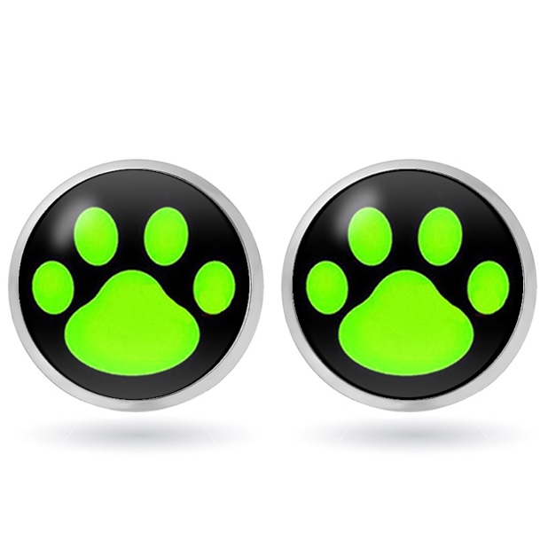 AD-5836 Earrings - Type3