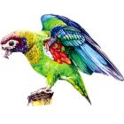Macaw/S